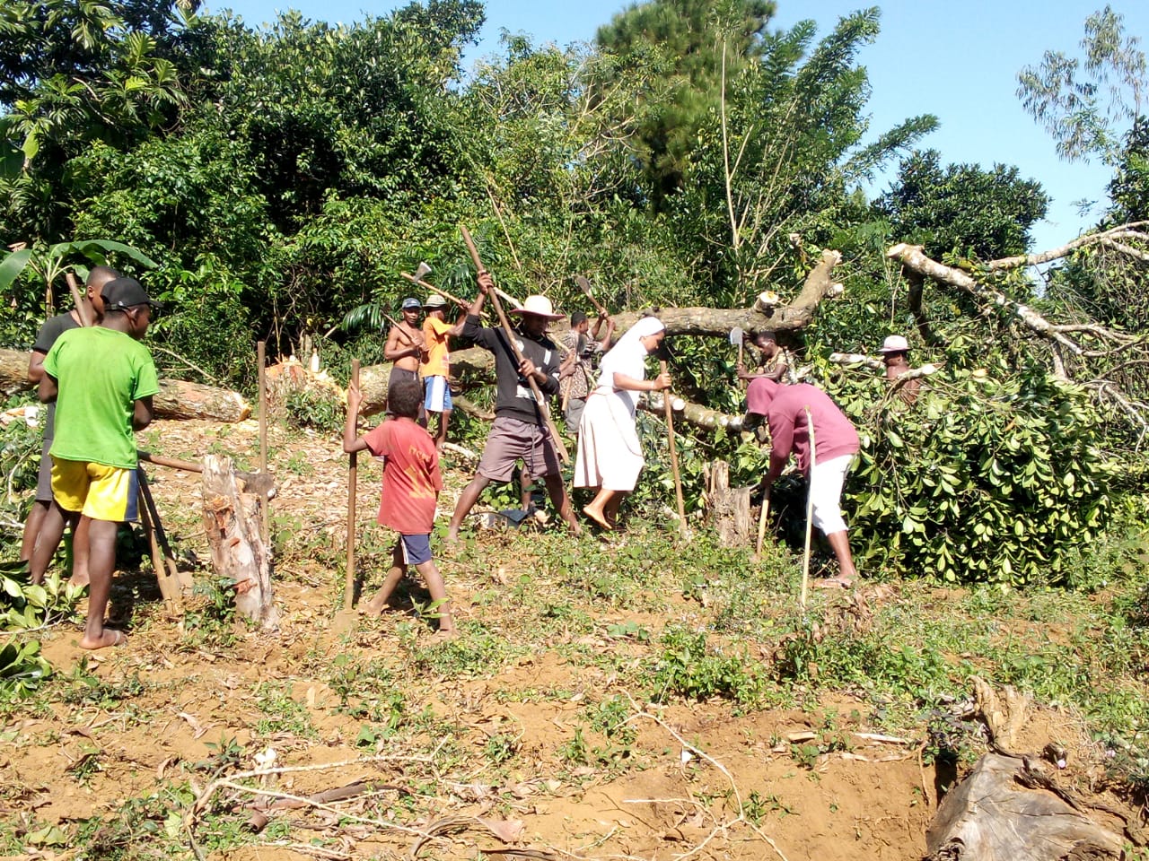 La popolazione di Ambila aiuta le suore a disboscare e preparare il terreno per la costruzione del dispensario nuovo.